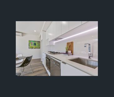 Contemporary Two Bedroom Apartment with Courtyard - Photo 3