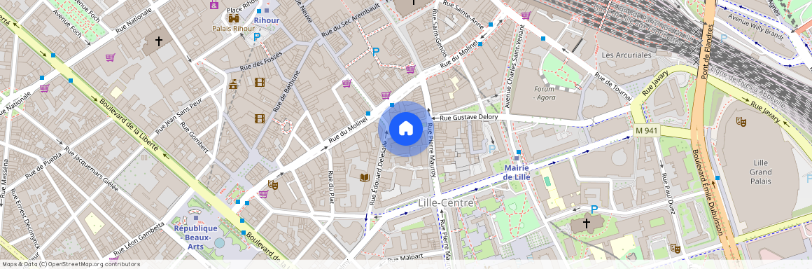 6 Rue Gustave Delory, 59000, Lille