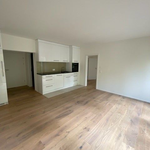 4410 Liestal - Photo 1