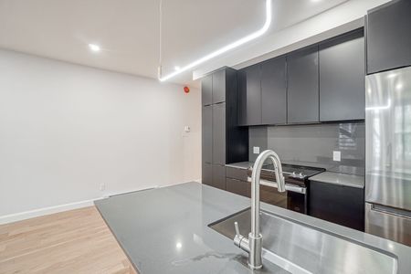 Condo for rent, Montréal (Le Plateau-Mont-Royal) - Photo 2