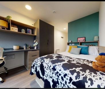 Room in a Shared House, Forest Road, E17 - Photo 5