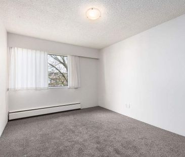 2 Bedroom - Photo 2