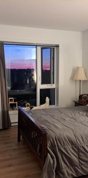 4 demi + Bureau/DROIT chiens et chats - Photo 1