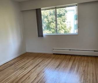 Spacious One Bedroom Apartment Rental Bldg - Photo 3