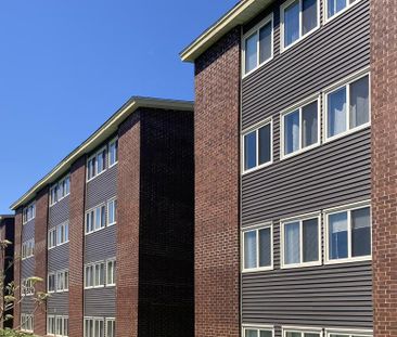 38 Pasadena Crescent - Photo 3