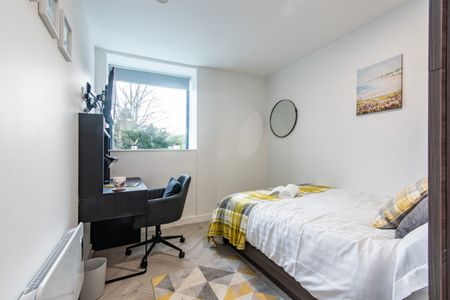 4 bed Apartment for Rent - Photo 5