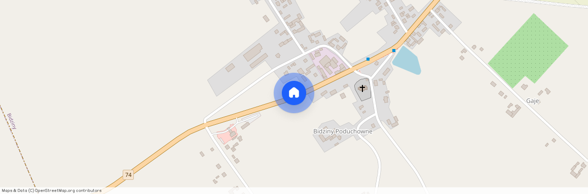 Bidziny, Wojciechowice