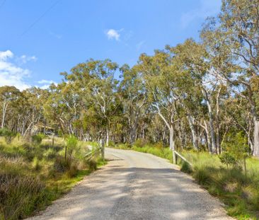 Rural Living 15 Minutes From Gungahlin Town Centre - Photo 3