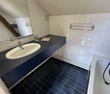 Location Appartement 1 pièce 17m² ST JEAN LE BLANC 45650 - Photo 3