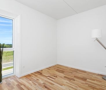 Skønt, naturrigt og børnevenligt område - Photo 5
