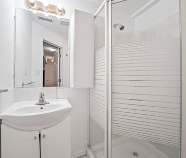 For Lease - 128 Breton Avenue Unit# Lower, Mississauga, Ontario - Photo 5