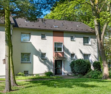 2-Zimmer-Wohnung in Duisburg Obermarxloh - Photo 4