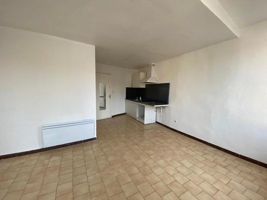 Location Appartement 1 pièce 25m² TOURVES 83170 - Photo 1