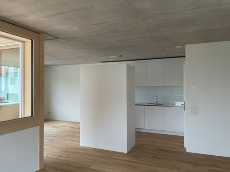 Grosszügige moderne 2.5-Zimmerwohnung - Photo 2