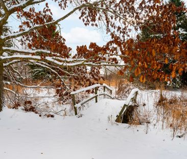 For Lease - 127 Franklyn Street, Shelburne, Ontario - Photo 6