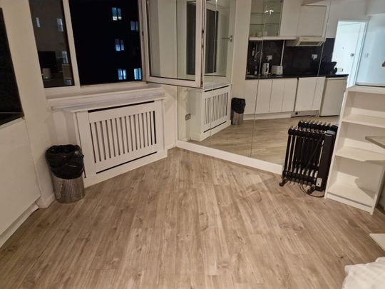 Studio Flat, Sloane Avenue, SW3 - Photo 1