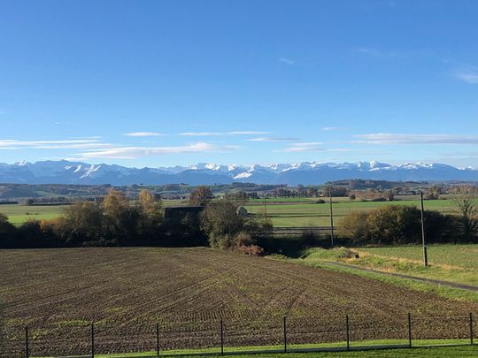 15 mn Est de Pau à Andoins - Magnifique Béarnaise rénovée avec dépendance et Vue Pyrénées, - Photo 1