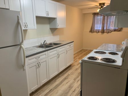 Amazing Find in Red Deer! 3 Bedrooms, 1 Bath!! - Photo 5