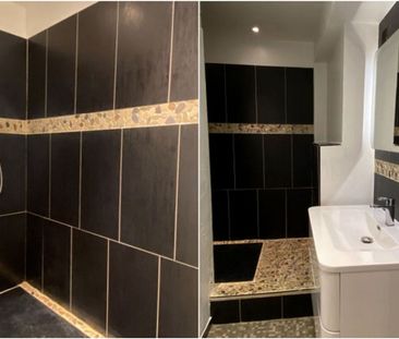 JOLI T3 ENTIÈREMENT RÉNOVÉ - Photo 6