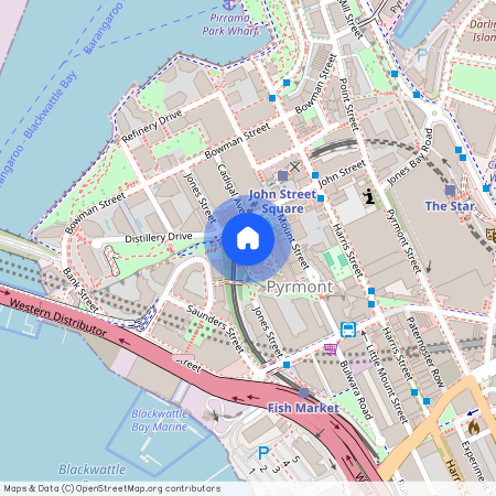 206/21 Cadigal Avenue, NSW 2009, Pyrmont