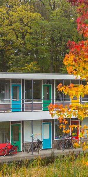 Schildpatio - Foto 1