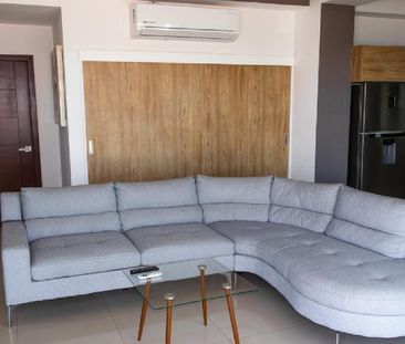 2 Bedroom Condo on the Malecon., Condominium For Rent - Photo 1