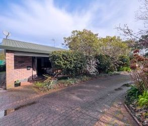 Sunny and Private Two Bedroom Retreat - Ngongotaha - Photo 1