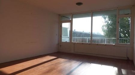 Milanenhorst 0ong, 2317 CL Leiden, Nederland - Photo 3