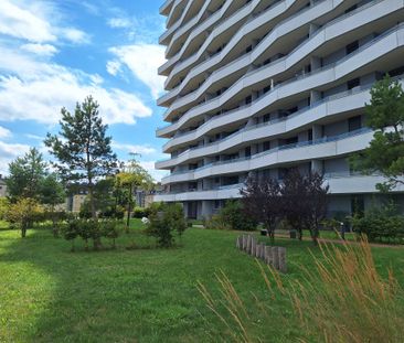 Wohnen über den Dächern von Linz - ideale 2 Zi-Wohnung! - Photo 2