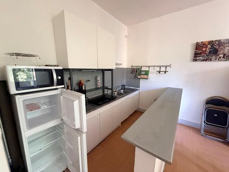 Location Appartement 2 pièces 47m² ST ETIENNE 42100 - Photo 5