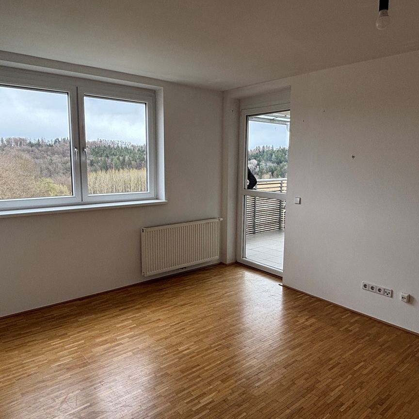 Ruhige 2-Zimmer-Wohnung - Photo 1