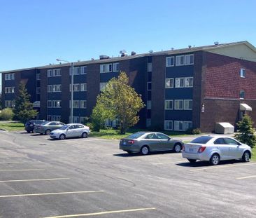 38 Pasadena Crescent - Photo 2