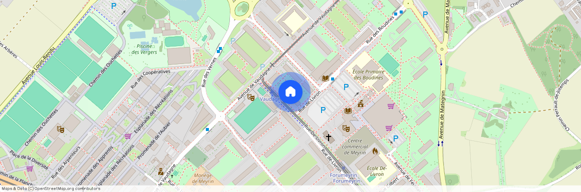 46, avenue de Vaudagne, 1217 Meyrin