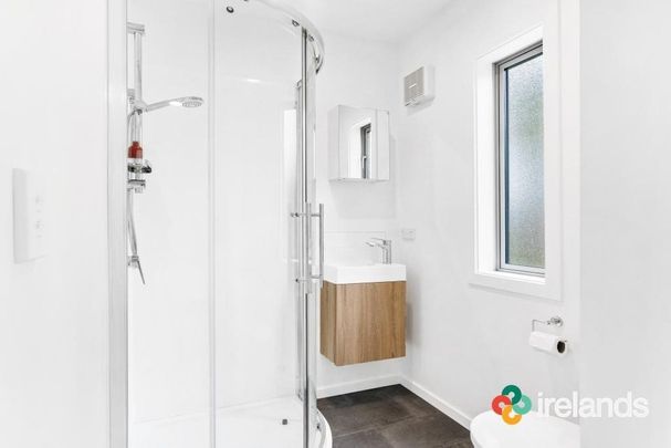 Sunny on Springfield - Photo 1