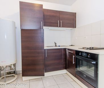 Location Appartement 1 pièce 30m² VINAY 38470 - Photo 2
