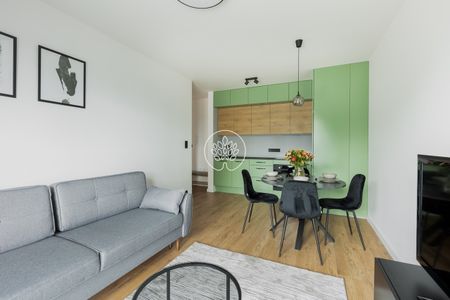 Piękny apartament przy ul. Gajowej - Zdjęcie 3