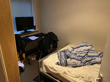 5 bedroom private hall to rent - Photo 3