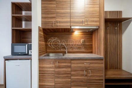 Podnájem bytu 1+kk, Křivánkovo náměstí, Brno-Žebětín - Photo 3