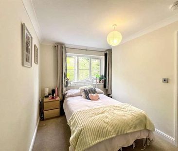 Earles Gardens, Norwich, NR4 - Photo 5