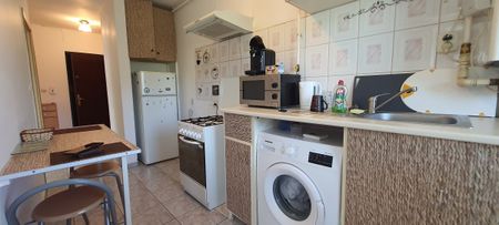Apartment for rent in Cluj-Napoca, near the University of Medicine and Pharmacy, Gheorghe Dima street, with 1 bedroom, kitchen, balcony - Photo 3