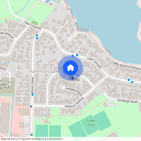 20 Kowhai Street, Hamilton Lake, Hamilton City