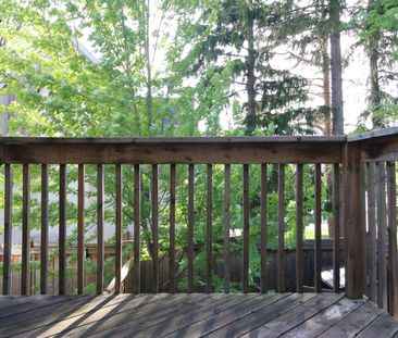 For Lease - 6 Sombrero Lane, Richmond Hill, Ontario - Photo 5