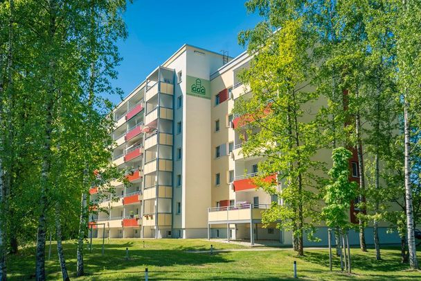 Ebenerdig erreichbare 1-Raum-Wohnung mit Balkon - Photo 1