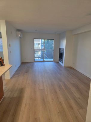 Newly Updated 1-Bed with Walk-In Closet - Photo 1