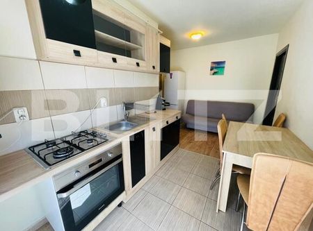 Apartament 1 camera, 30 mp, etaj intermediar, zona Porii - Fotografie 2