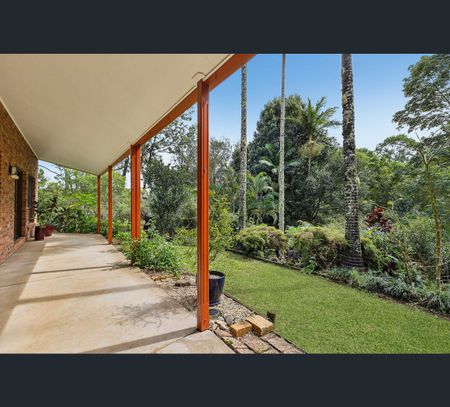 11 Tamarind Cl, Richmond Hill, NSW 2480 - Photo 5