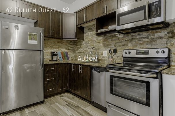 62 Duluth Ouest - 62 - Photo 1