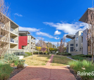 91/21 Battye Street, Bruce ACT 2617 - Apartment For Rent | Domain - Photo 3