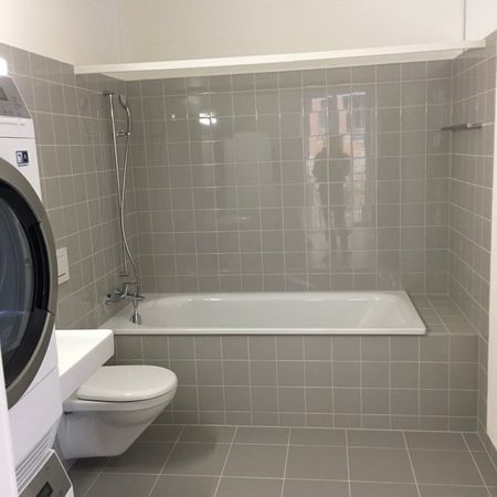 Untermiete fürs Freilager gesucht - Foto 3