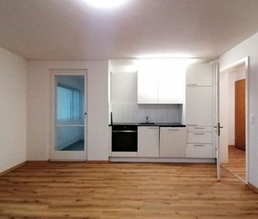 Renovated apartment - Photo 2